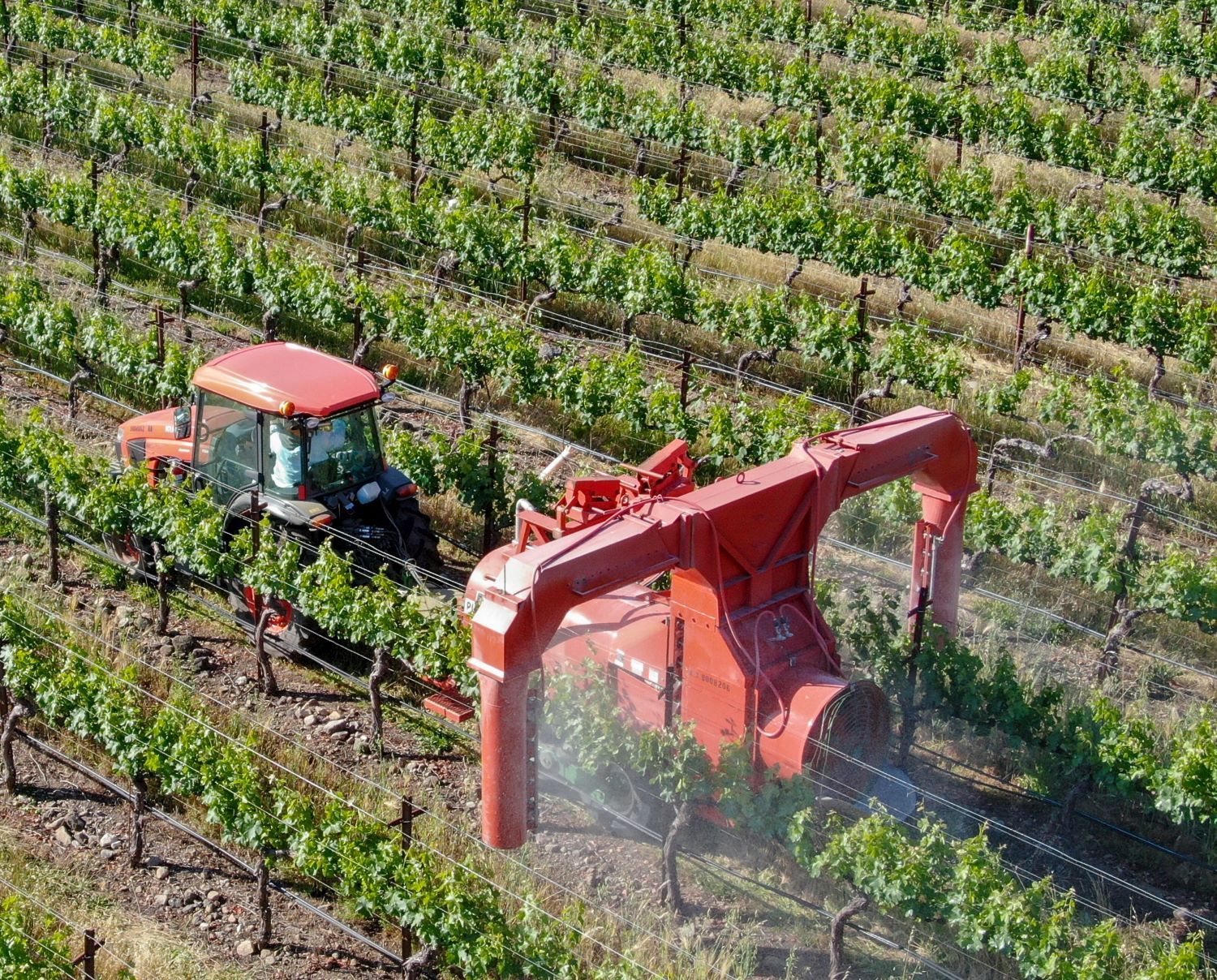 Chemical-intensive farming has wreaked havoc on our environment and health, change is not just necessary - it is urgent.  Traditional farming methods have left a trail of damage that we can no longer ignore.
